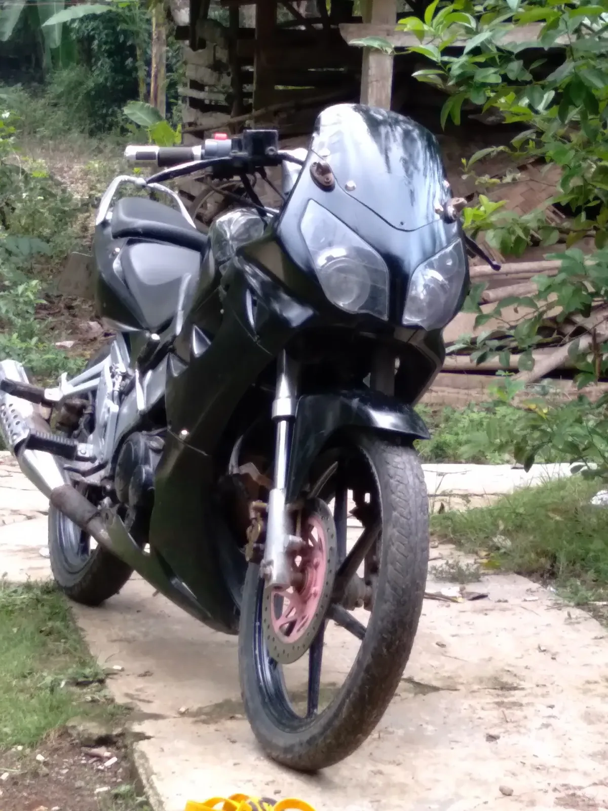 Vermak levis si bolang