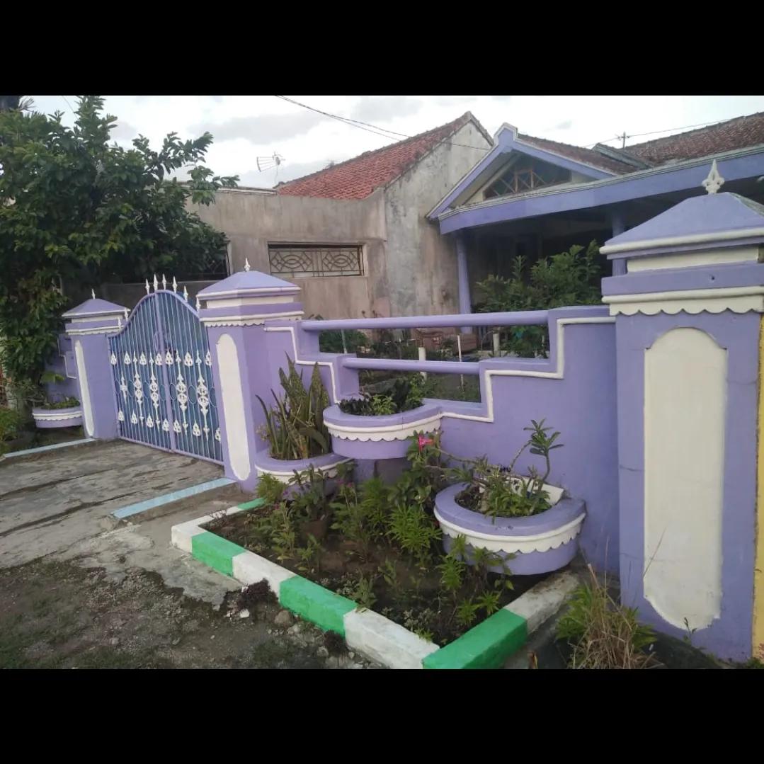 Violet RC
