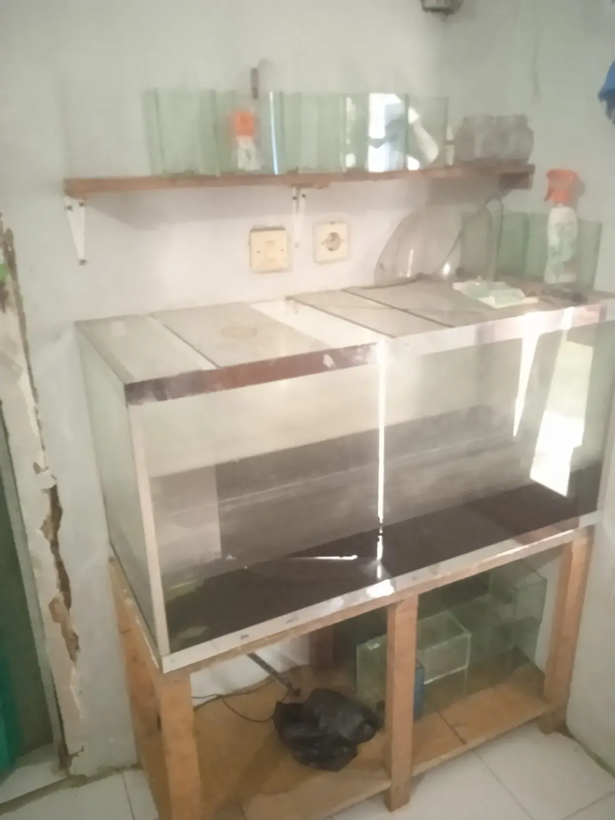 Vionaquatik