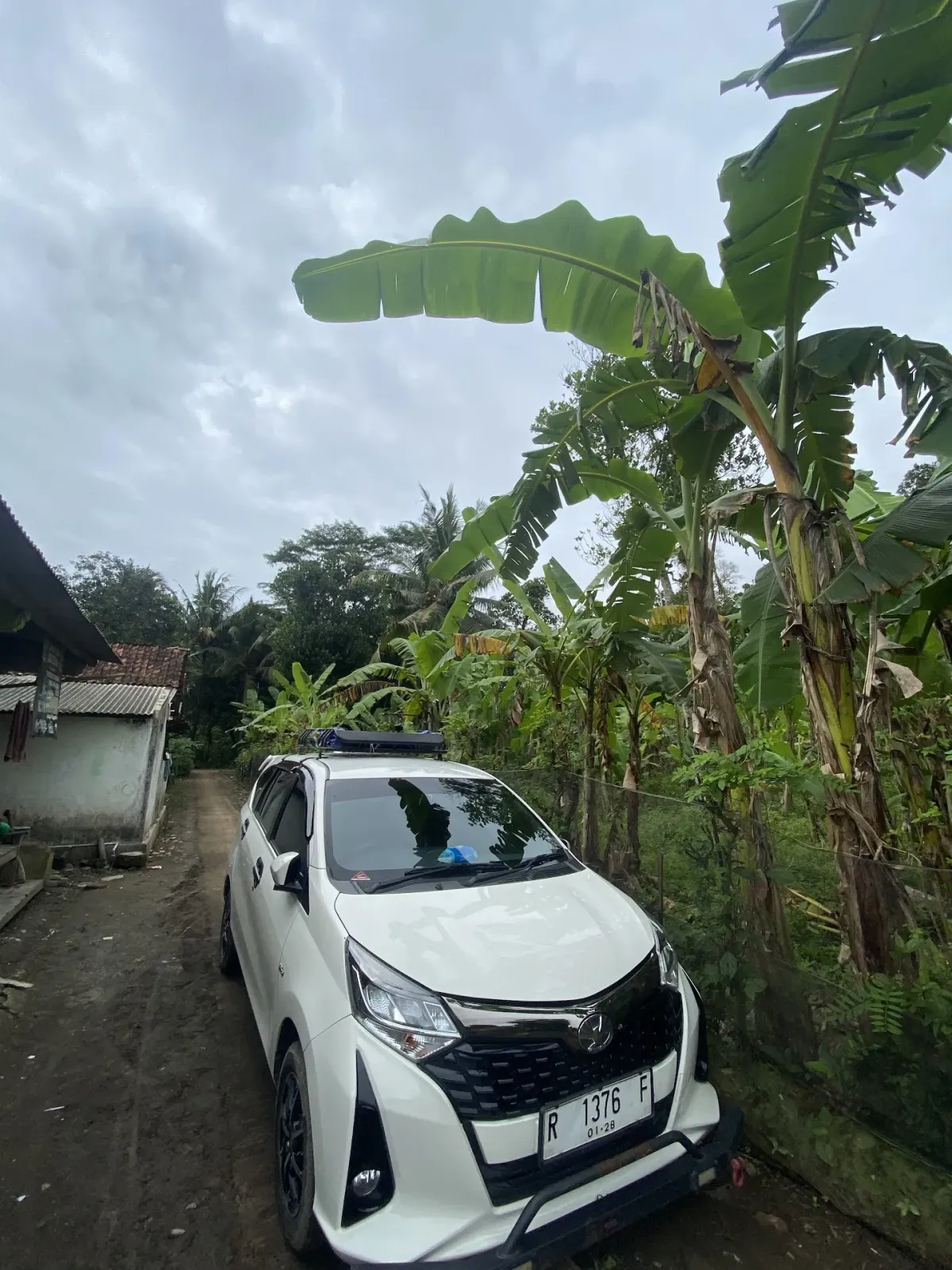 WANEE RENT SILANGSUR