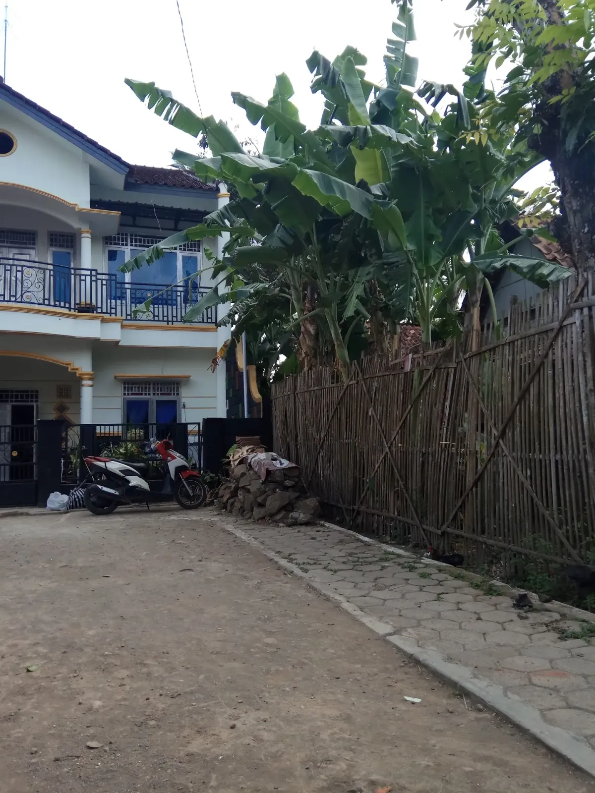 Wangon