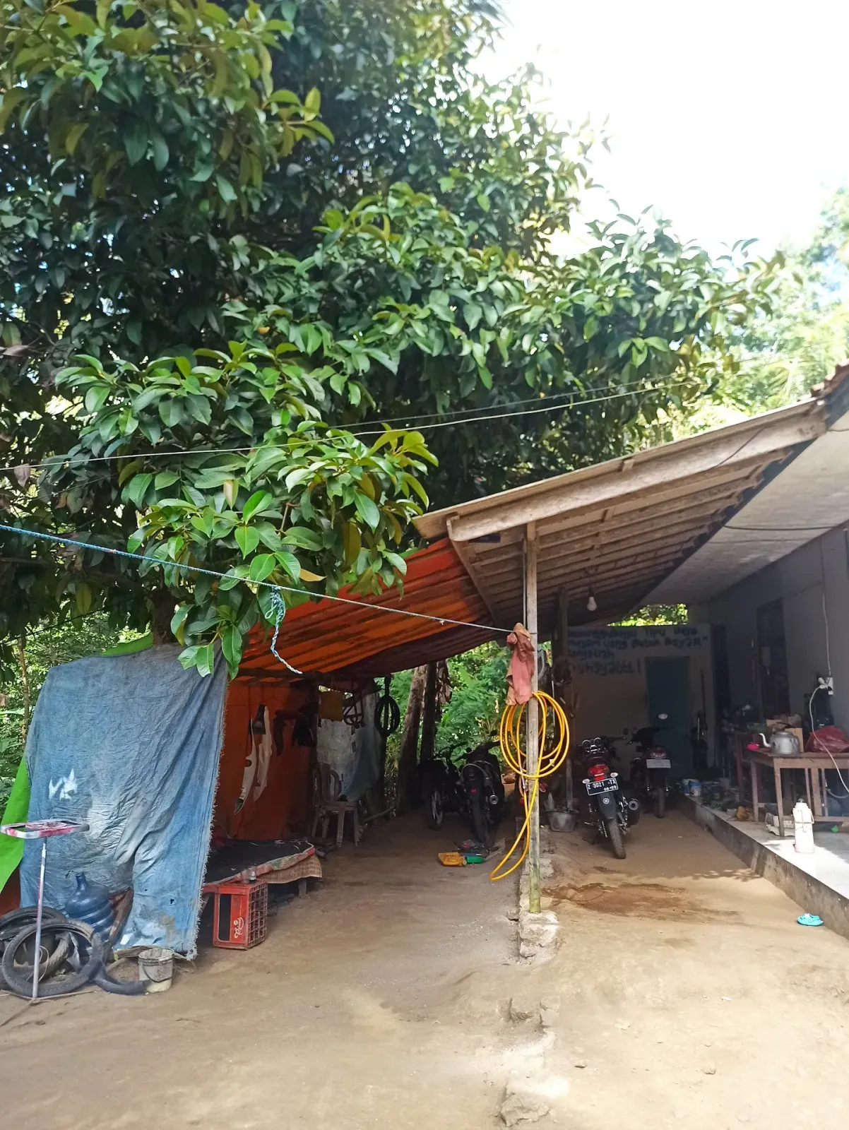 Warsikam kalipucang
