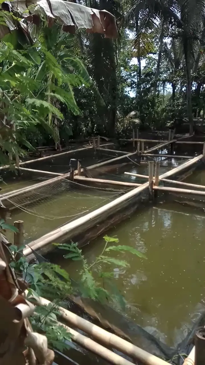 warung benih lele warsono