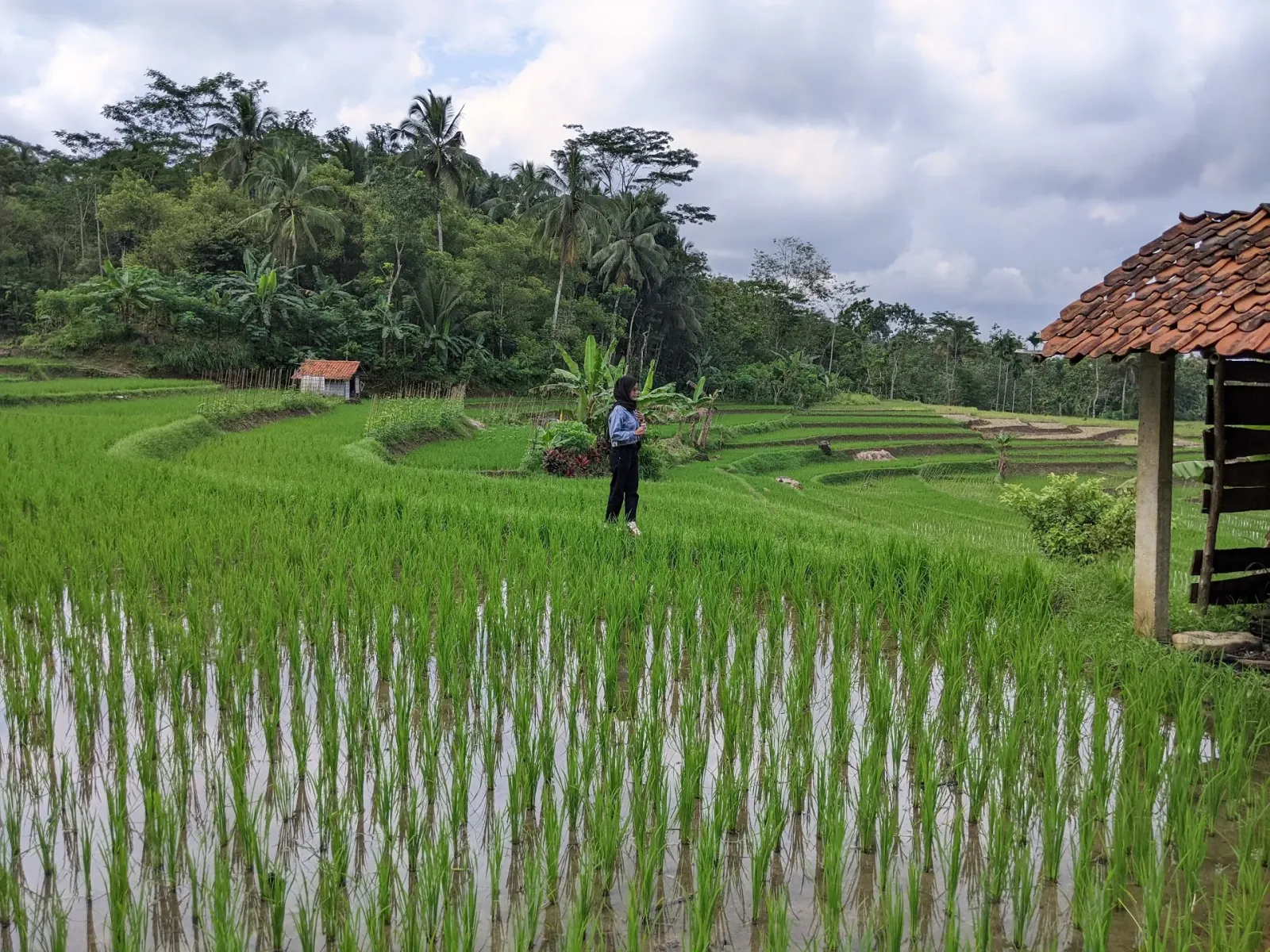 Warung glondong