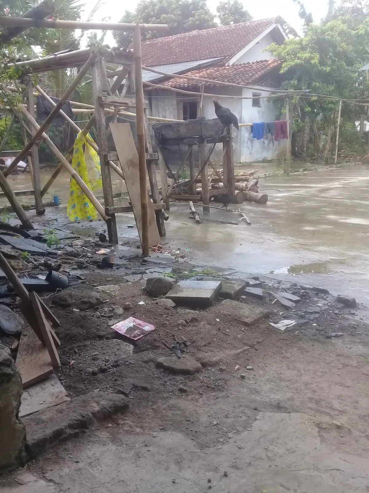 Warung kopi dan pecel mba melan UMKM UMP