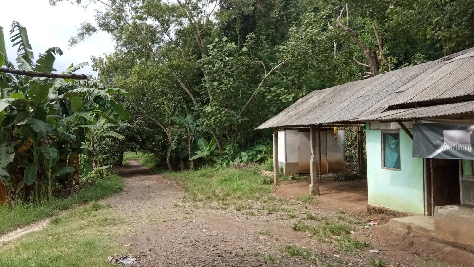 warung kopi pak surat