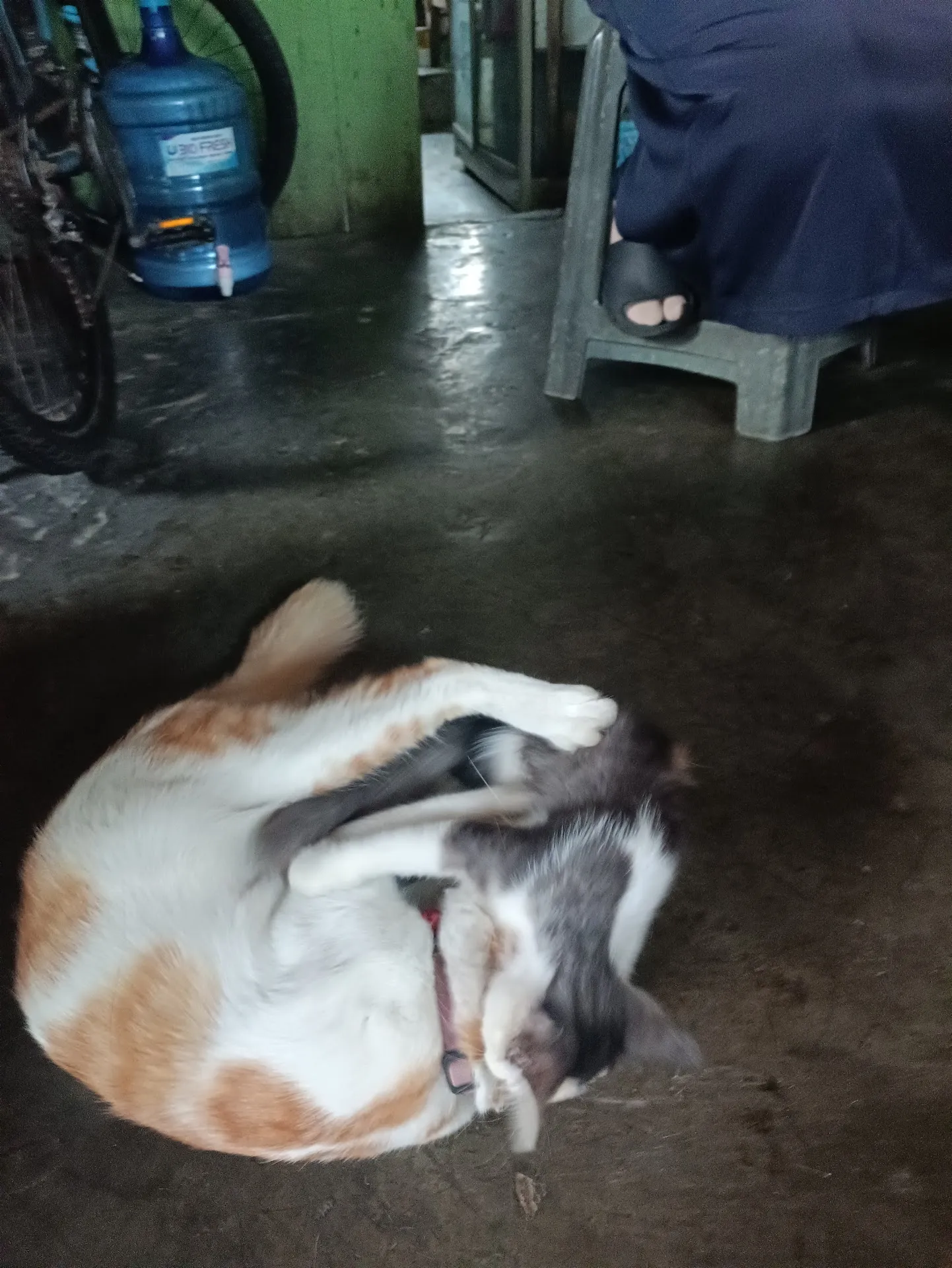 Warung Makan Afika Laundry