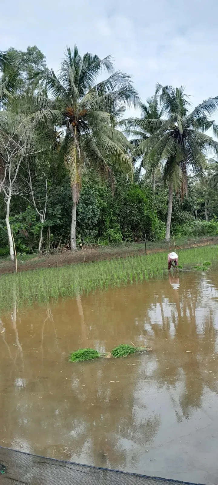Warung Ragil Bintaro Spot Fishing