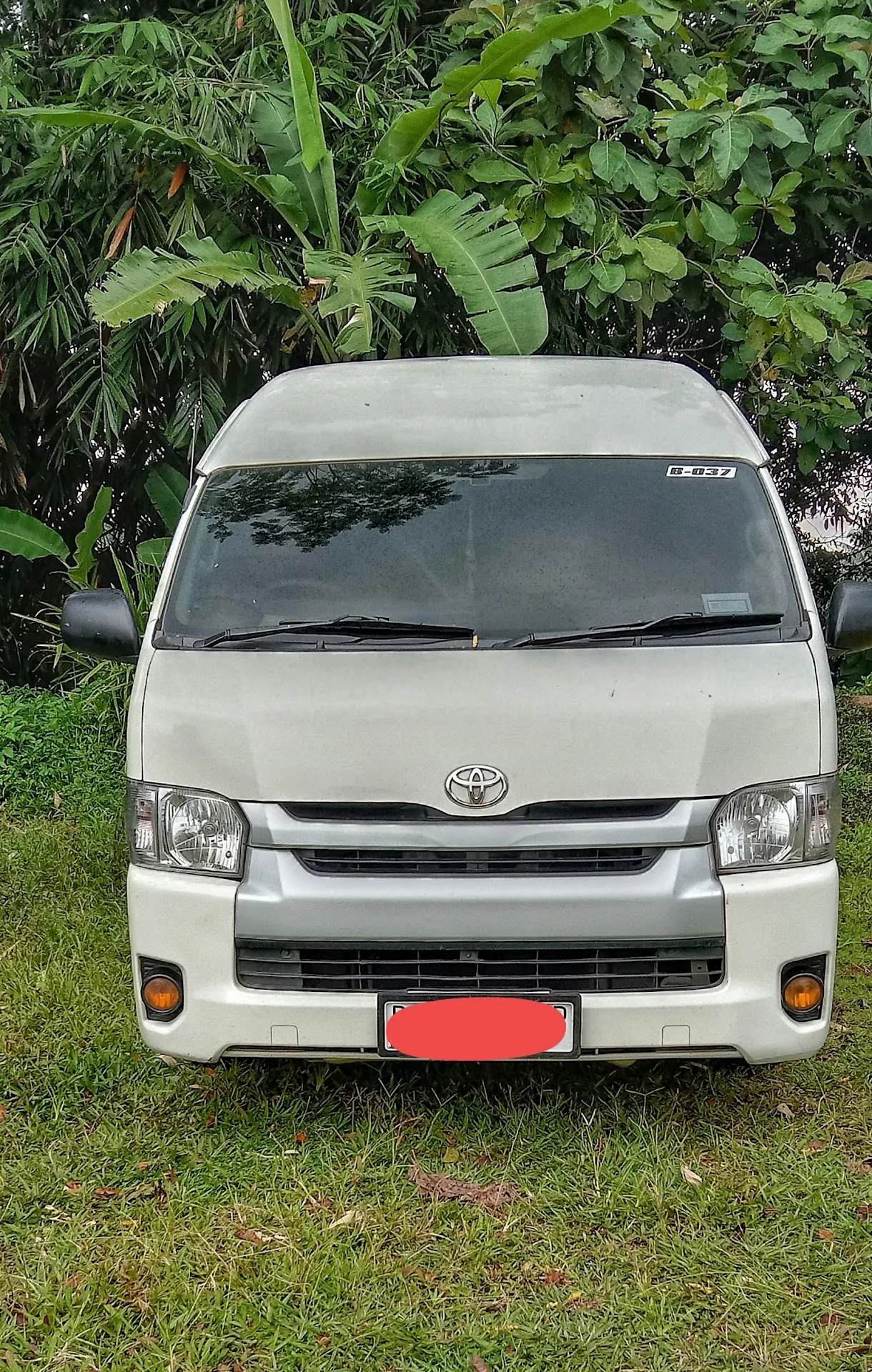 YBtrans