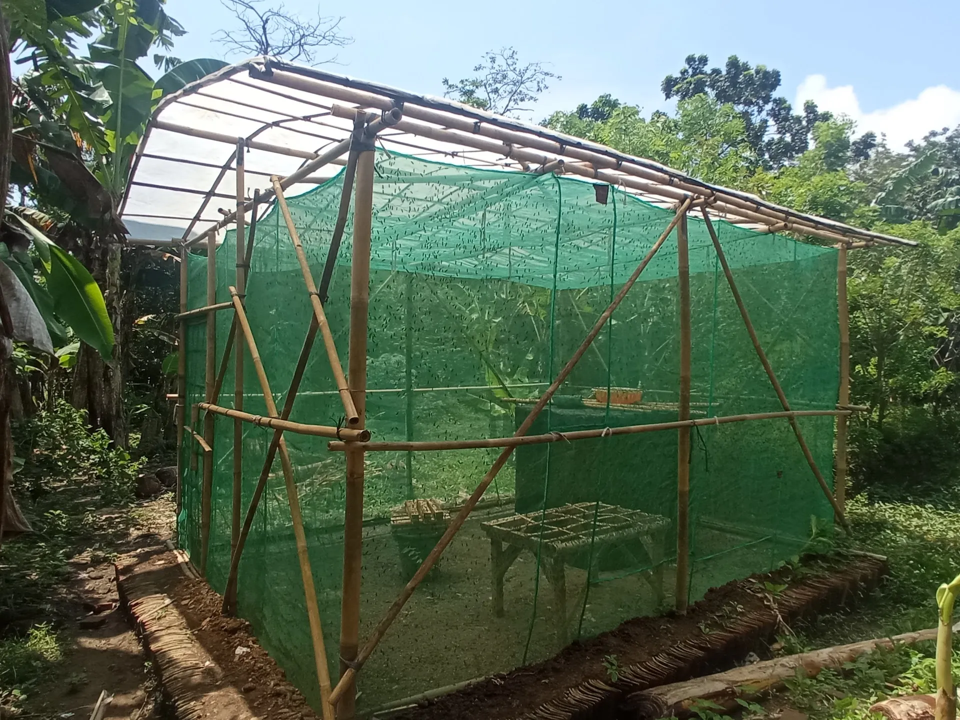 Yo Farm