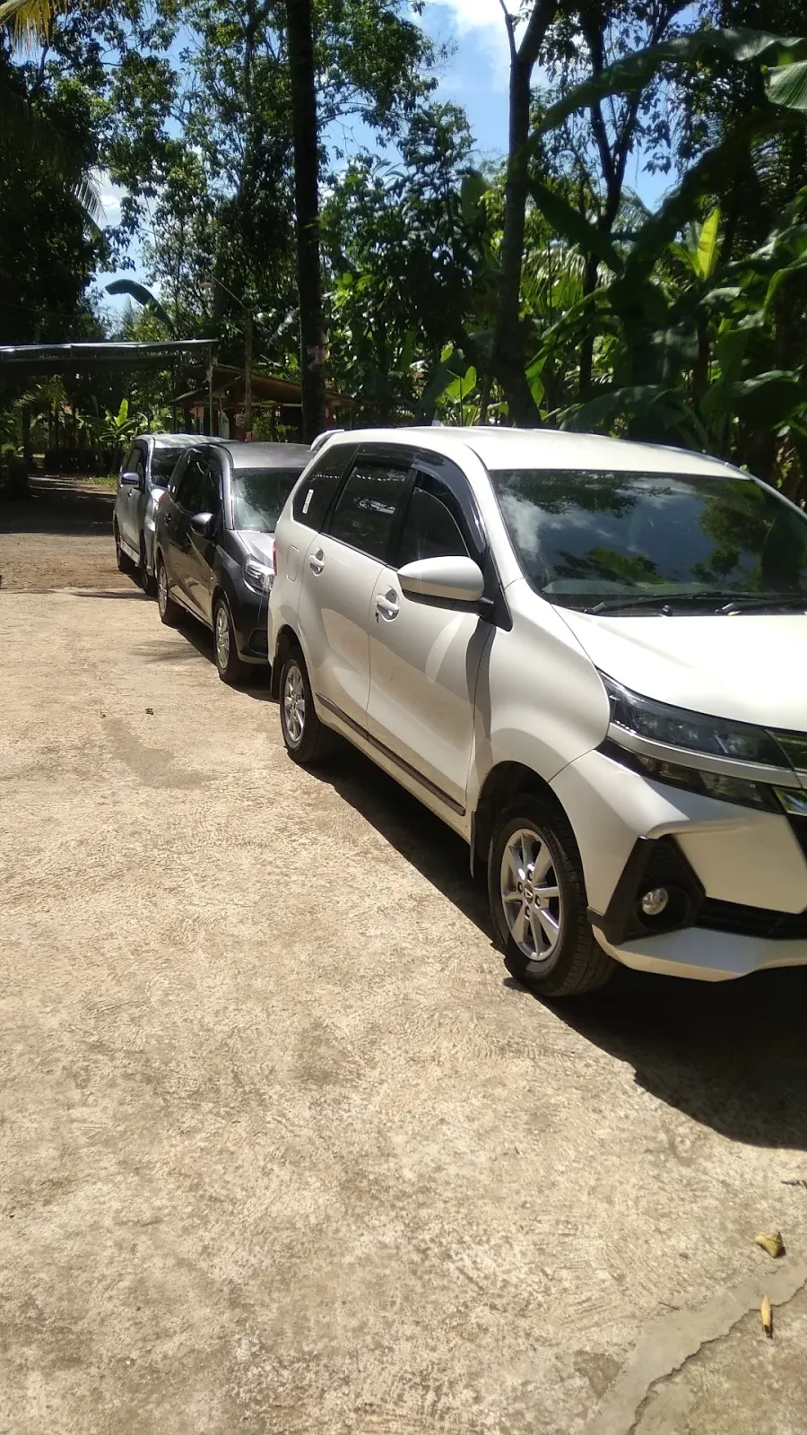 YOVI RENTAL TOUR & TRAVEL
