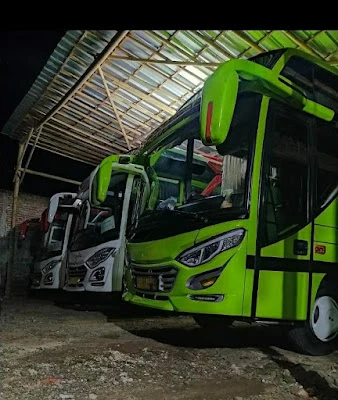 eL Zidny Tour & Travel