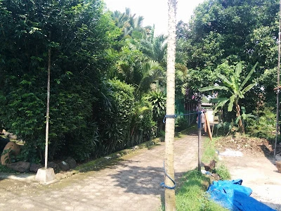 Halaman Depan Creative