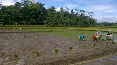 Saung Abah Tatang