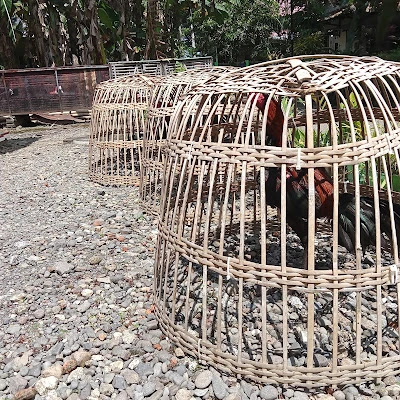 Warung Ayam Bangkok