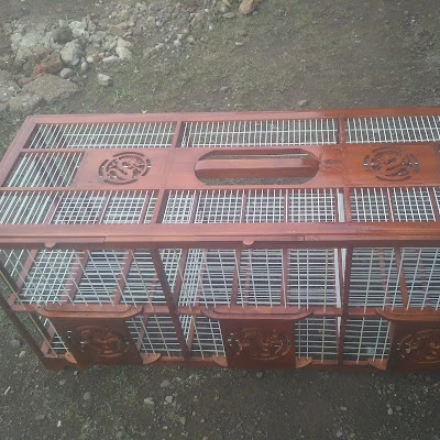 Paud Tunas Siwi peni 2