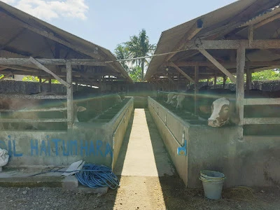 UD.Lembu Lanang