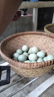 Cah Tani Farm