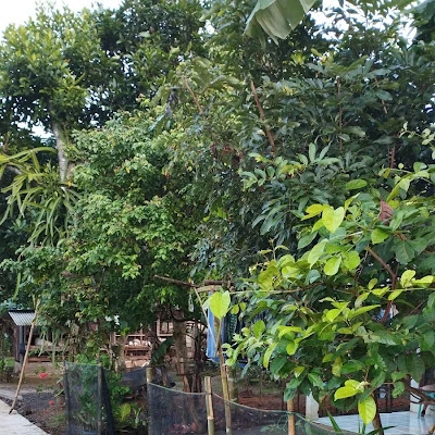 Warung Makan Bu Darmiyah
