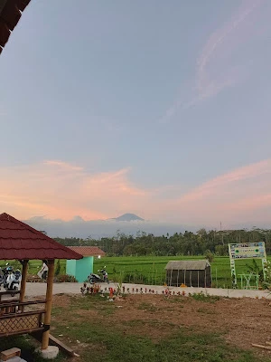 Umah Sawah Desa Karanganyar