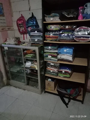 fanesa laundry