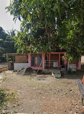 Istana sultan