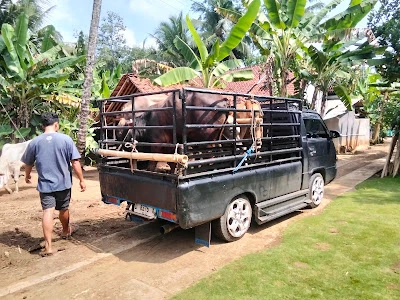 BERKAH RAHAYU FARM
