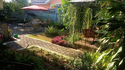 Wilis Guest House