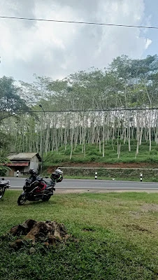 Warung Kelapa Pak Tugimung