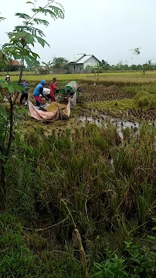 Gendut bengkel