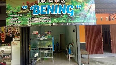 TOKO IKAN HIAS BENING