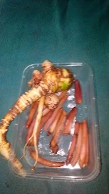 Ruqyah dan Terapi vitalitas Pria dan Wanita (khusus panggilan)