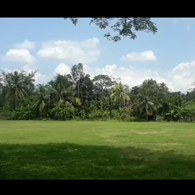 Sdn 5 Sindang Jaya