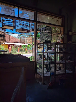 Toko Manuk Agus wawan