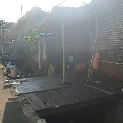 Toko udang hidup pemancingan