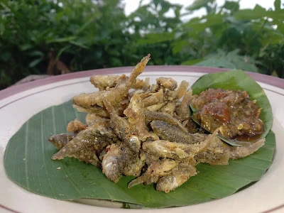Dapur Dan Cathering SITI SARI