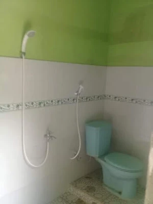 Kost Milyo