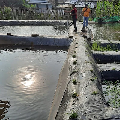 eFishery Point Banyumas