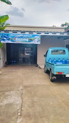 Waringin Putih