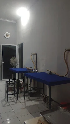D'MC Laundry