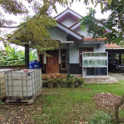 Bani Tirta Manis