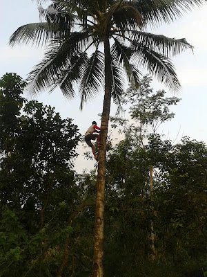 Jambusari