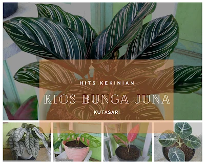 Kios Bunga Juna