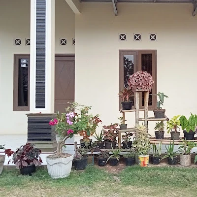 Mushola Raudlotul istifadah