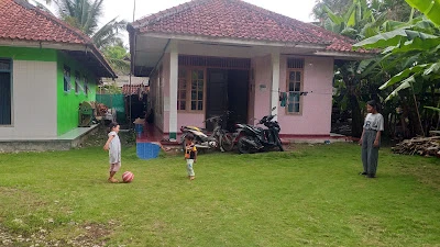 Acang kayu