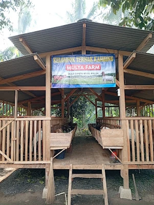 MULYA Farm
