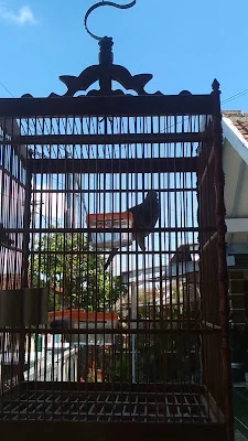 Warung Makan Indomie (Warmindo)