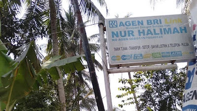 Agen BRILink Nur Halimah