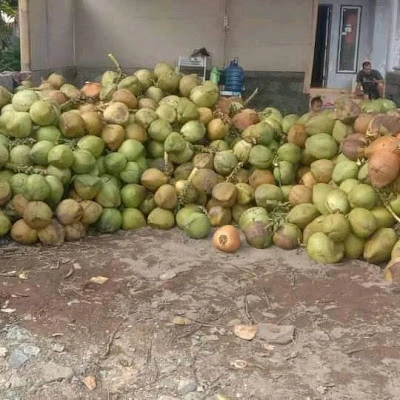 "Griya Degan"