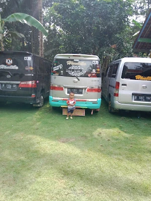 Wario Travel & Tour